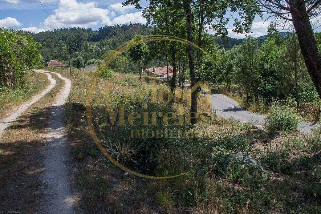 Terreno para Venda em Poiares Foto 6