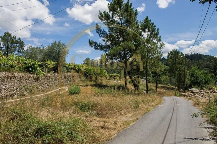 Terreno para Venda em Poiares Foto 4