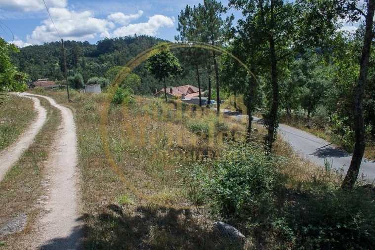 Terreno para Venda em Poiares Foto 5