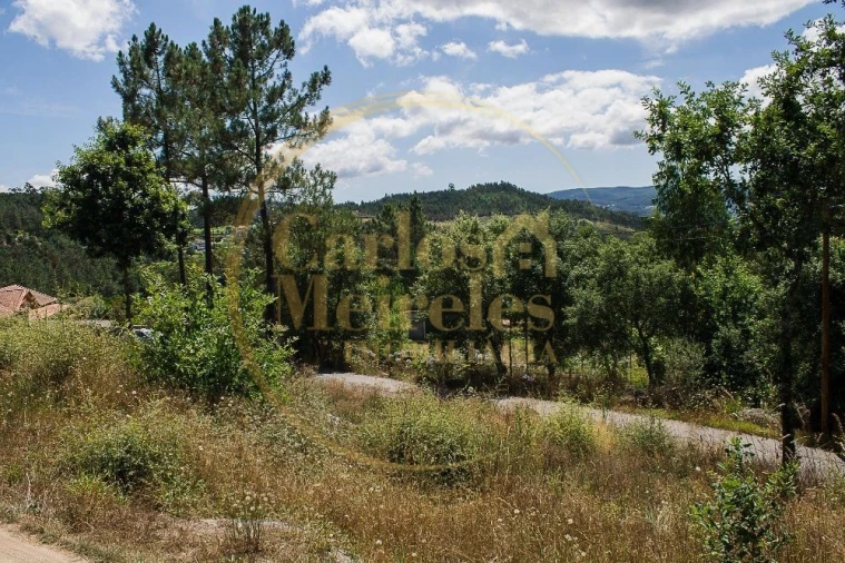 Terreno para Venda em Poiares Foto 7