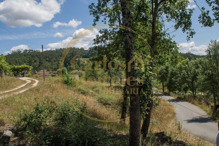 Terreno para Venda em Poiares Foto 8