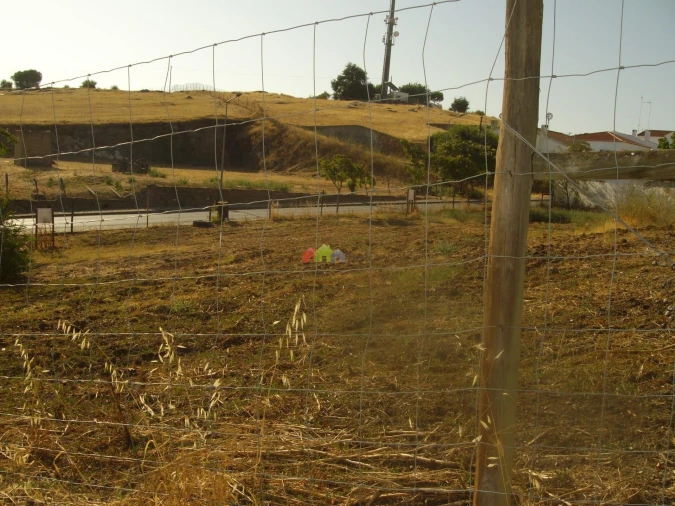 Terreno para Venda em Serpa (Salvador e Santa Maria) Foto 5