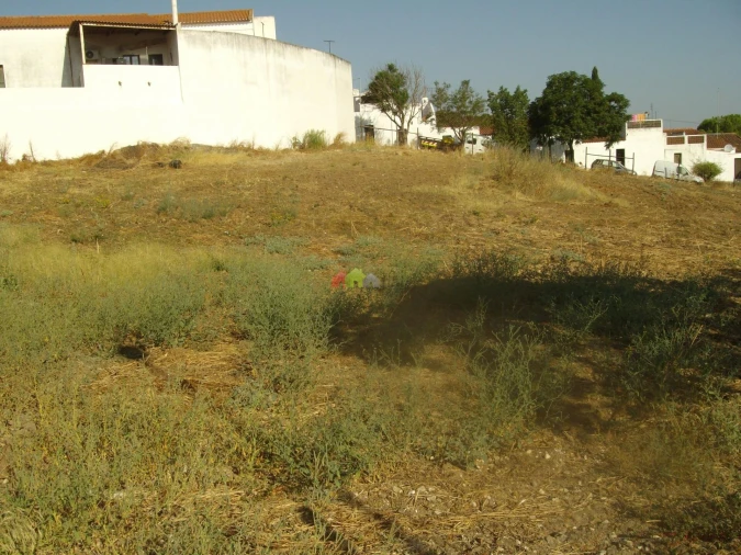 Terreno para Venda em Serpa (Salvador e Santa Maria) Foto 8