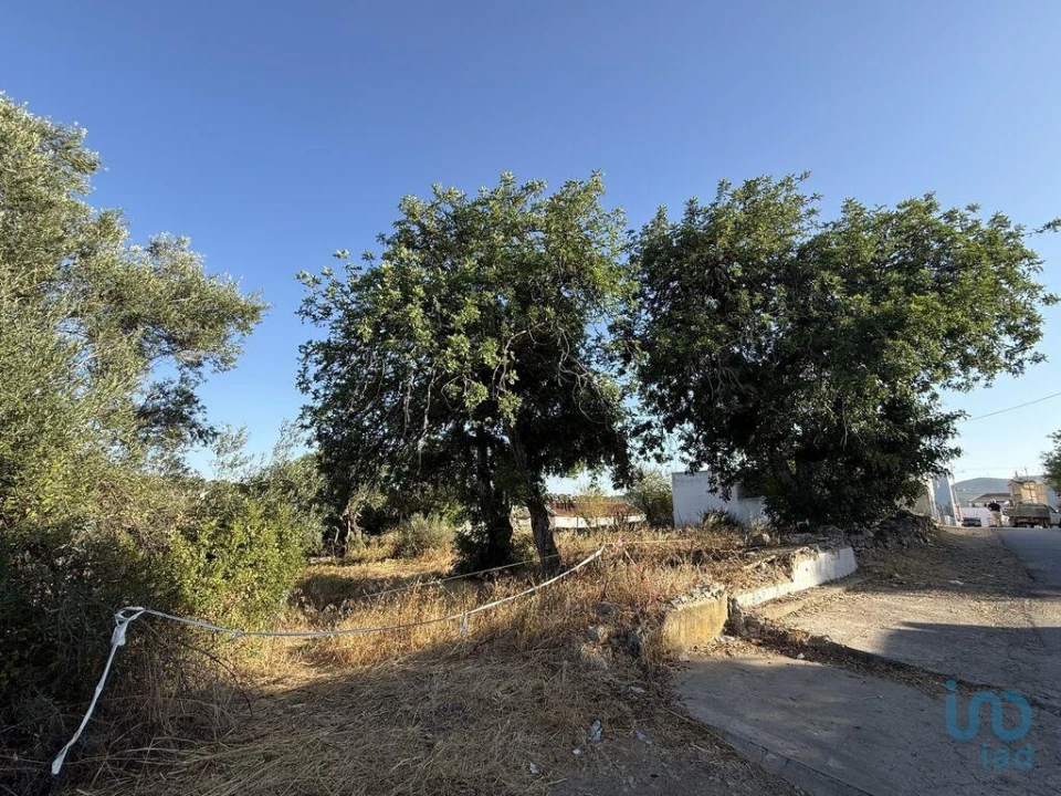 Terreno para Venda em Santa Barbara de Nexe Foto 2