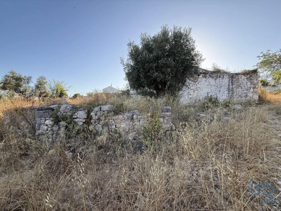 Terreno para Venda em Santa Barbara de Nexe Foto 14