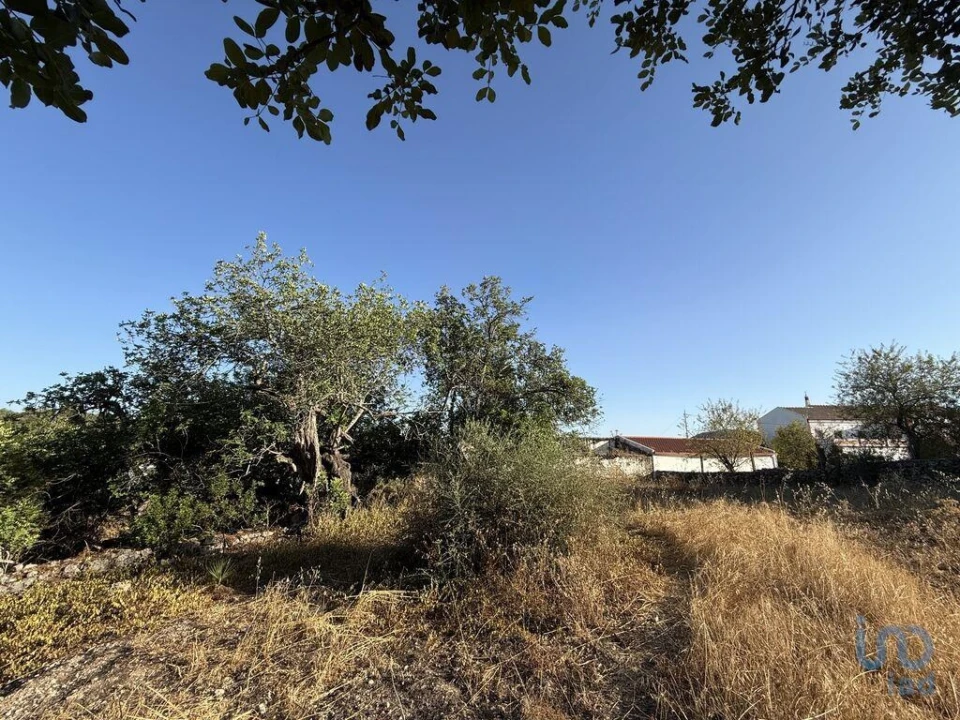 Terreno para Venda em Santa Barbara de Nexe Foto 6