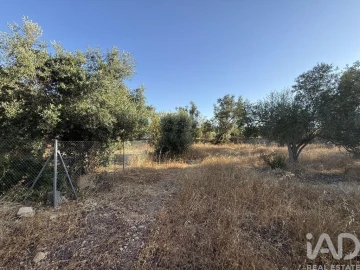 Terreno para Venda em Santa Barbara de Nexe