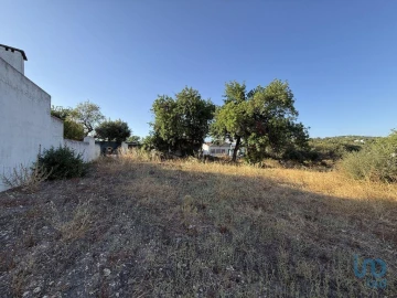 Terreno para Venda em Santa Barbara de Nexe