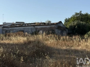 Terreno para Venda em Santa Barbara de Nexe