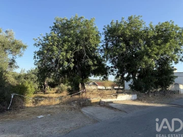 Terreno para Venda em Santa Barbara de Nexe