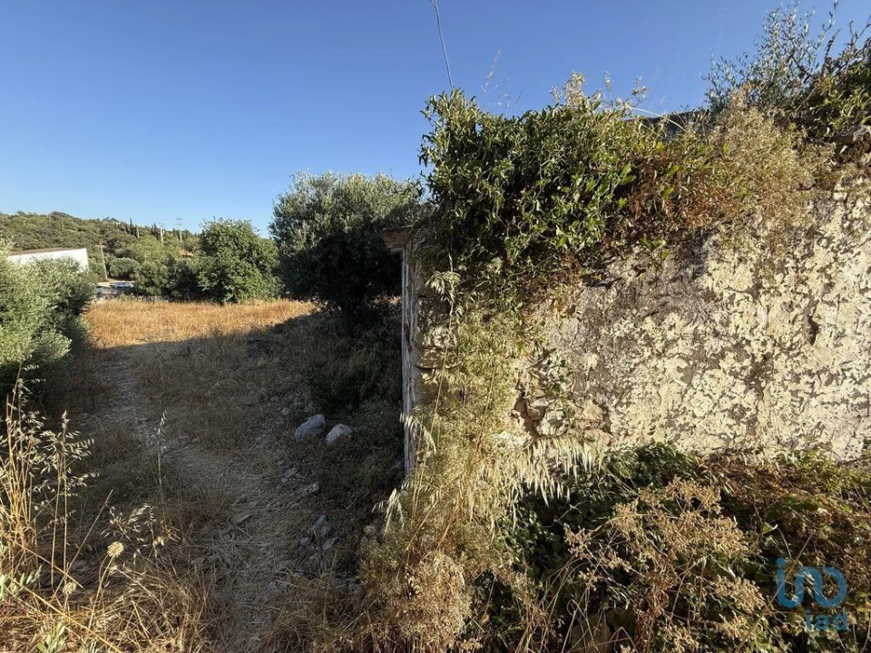 Terreno para Venda em Santa Barbara de Nexe Foto 12