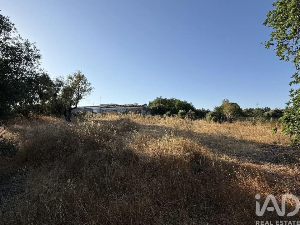Terreno para Venda em Santa Barbara de Nexe Foto 20