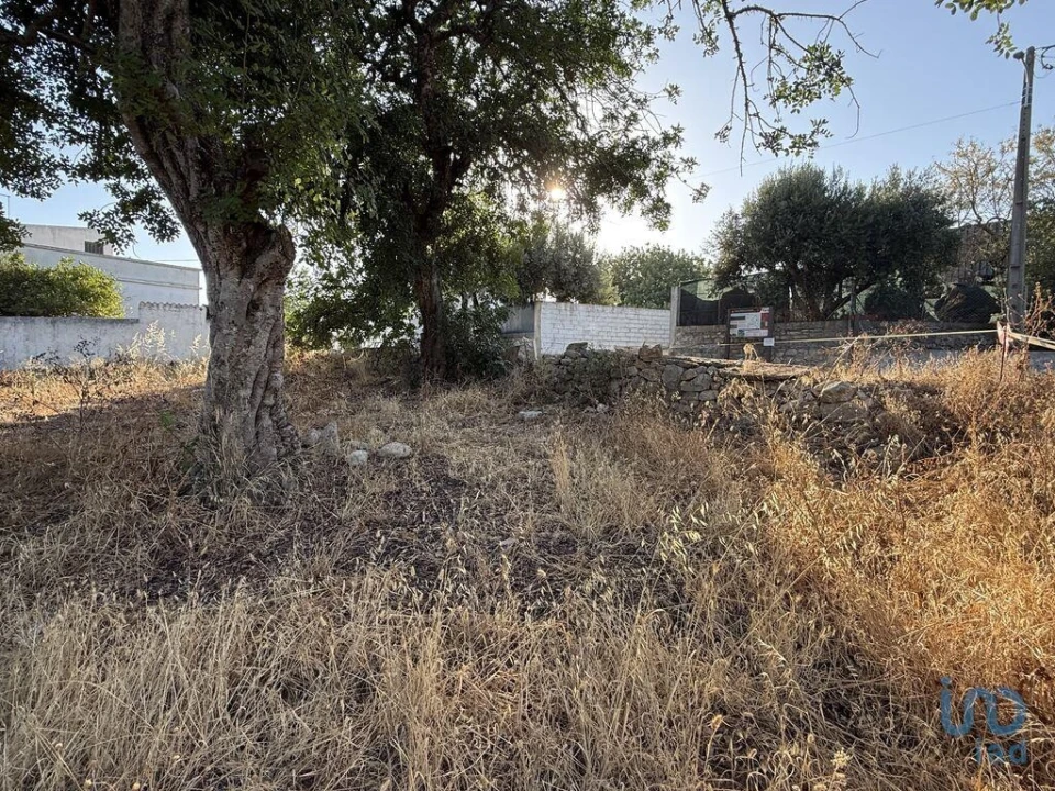 Terreno para Venda em Santa Barbara de Nexe Foto 5