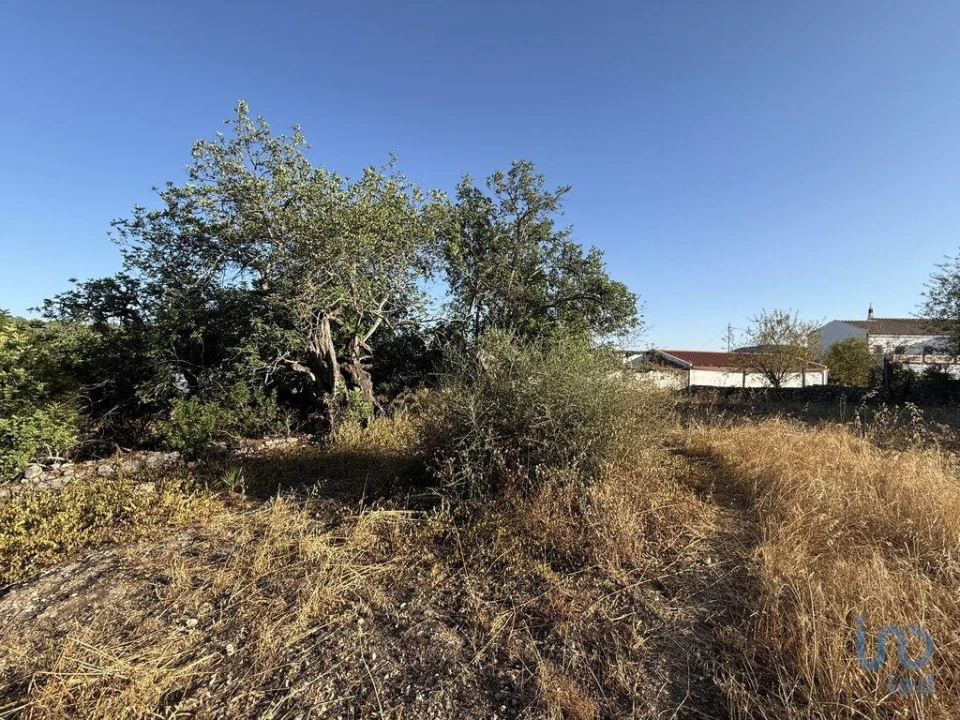 Terreno para Venda em Santa Barbara de Nexe Foto 7