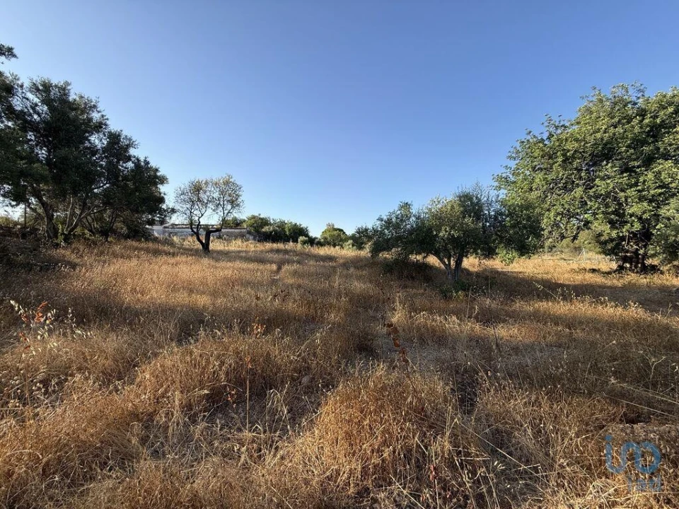 Terreno para Venda em Santa Barbara de Nexe Foto 1