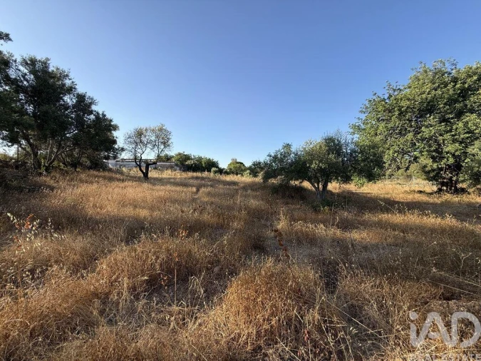 Terreno para Venda em Santa Barbara de Nexe Foto 18