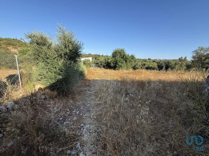 Terreno para Venda em Santa Barbara de Nexe Foto 13