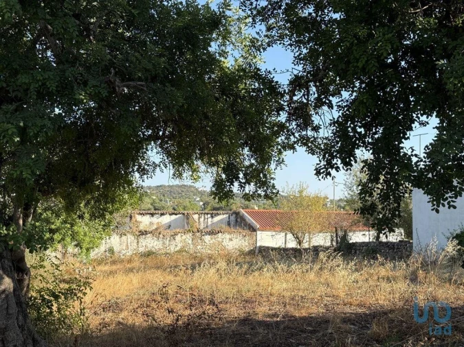 Terreno para Venda em Santa Barbara de Nexe Foto 3