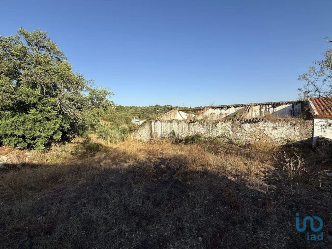 Terreno para Venda em Santa Barbara de Nexe Foto 10