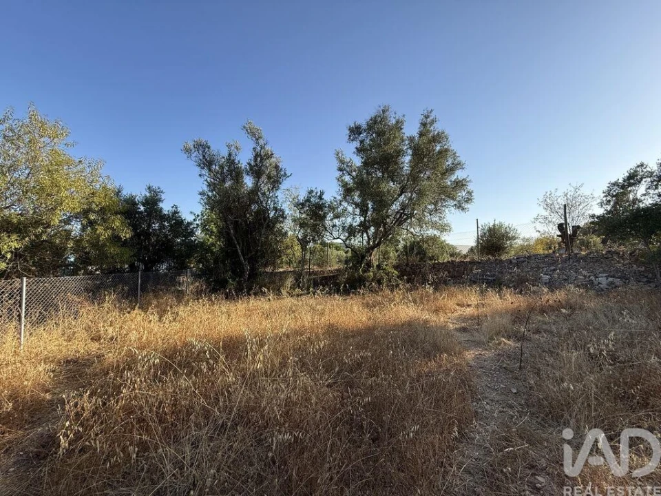 Terreno para Venda em Santa Barbara de Nexe Foto 17
