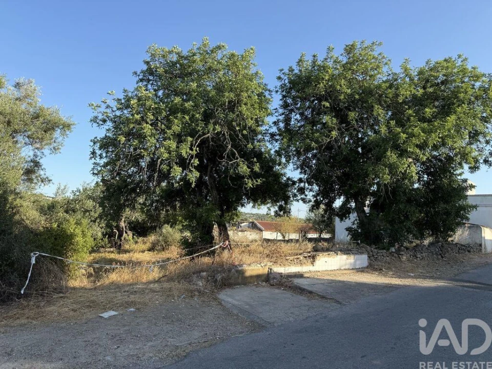 Terreno para Venda em Santa Barbara de Nexe Foto 23