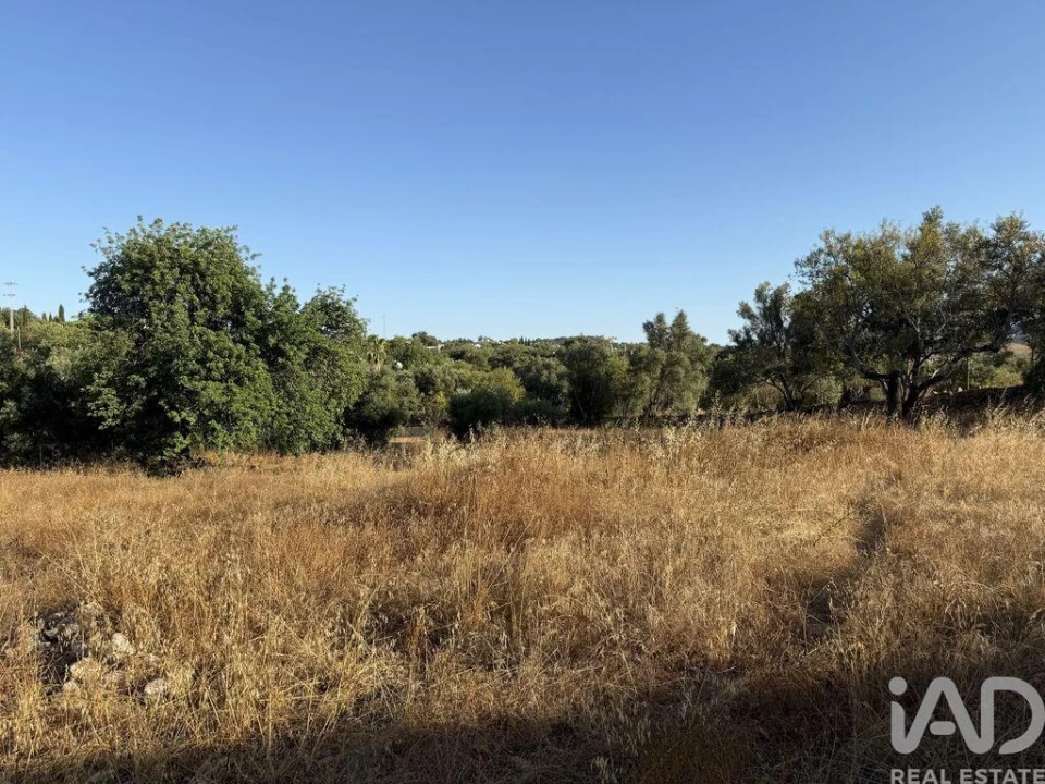 Terreno para Venda em Santa Barbara de Nexe Foto 22
