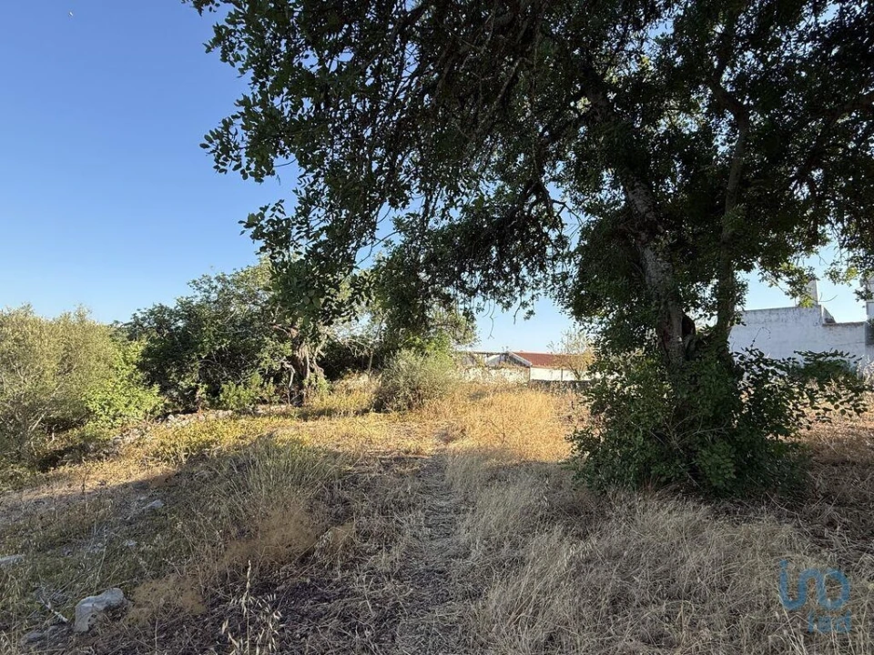 Terreno para Venda em Santa Barbara de Nexe Foto 4