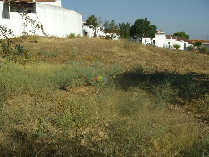 Terreno para Venda em Serpa (Salvador e Santa Maria) Foto 9