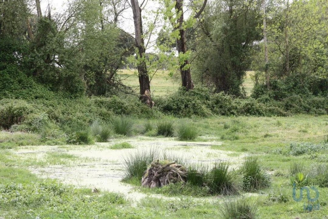 Terreno para Venda em Poceirão e Marateca Foto 1