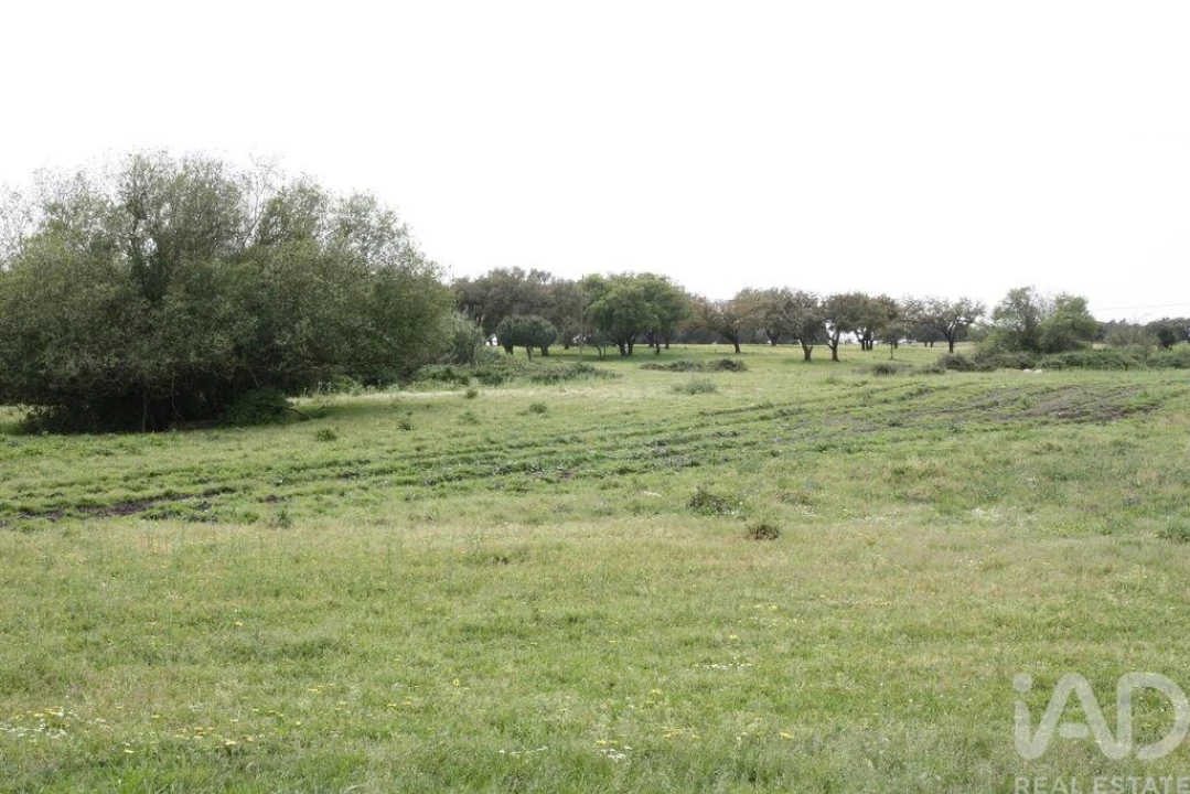 Terreno para Venda em Poceirão e Marateca Foto 19