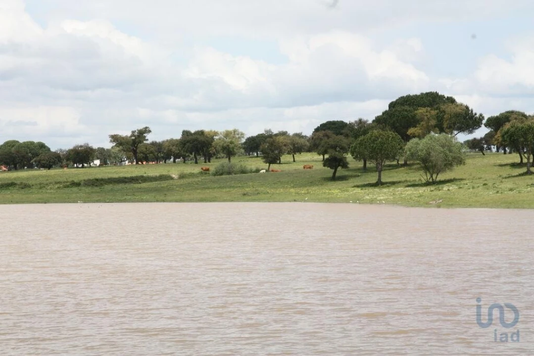 Terreno para Venda em Poceirão e Marateca Foto 5