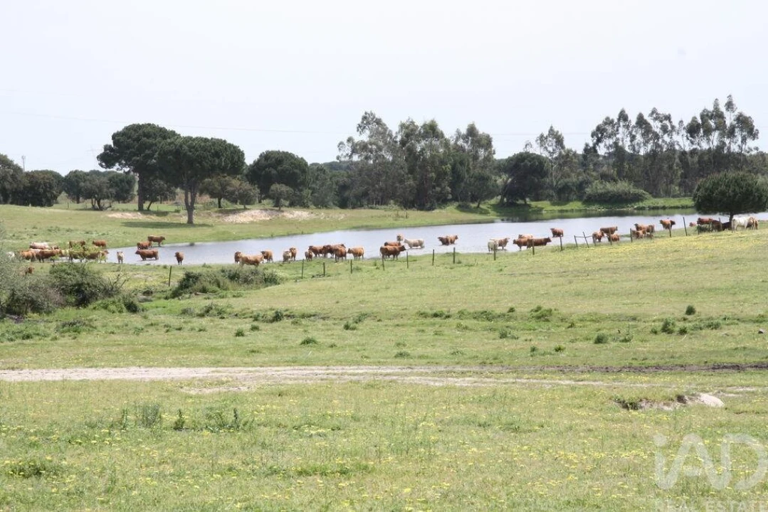 Terreno para Venda em Poceirão e Marateca Foto 15