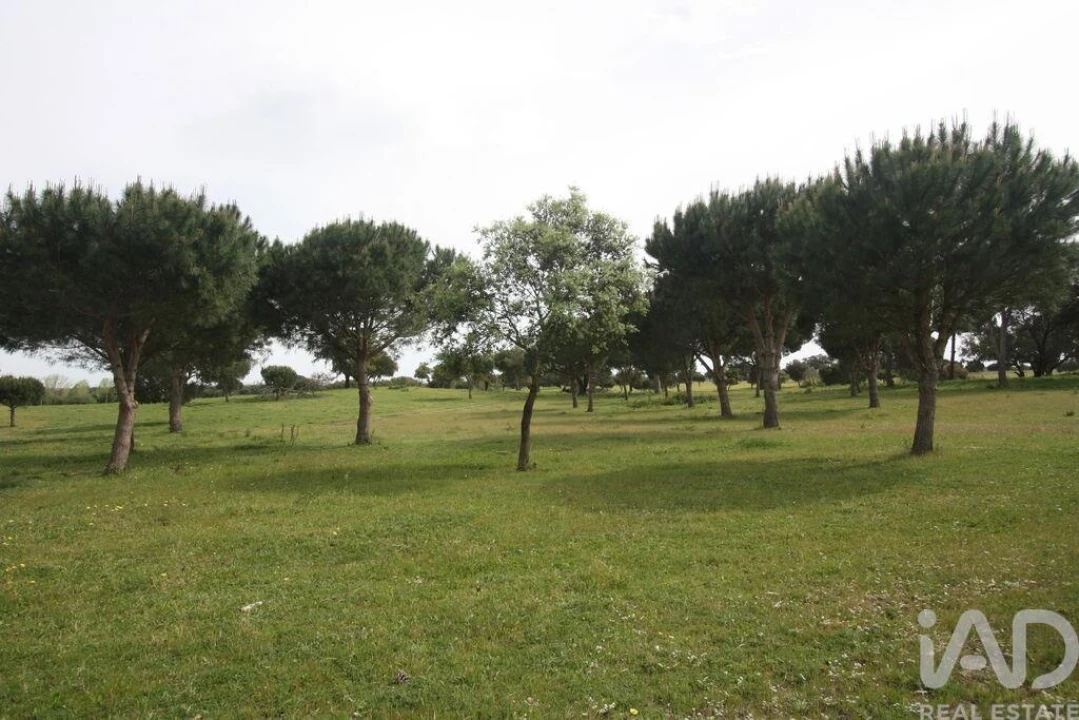 Terreno para Venda em Poceirão e Marateca Foto 22