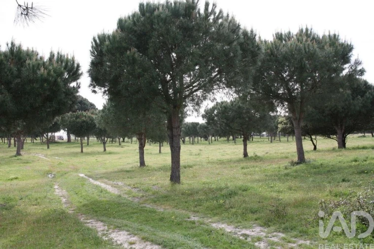 Terreno para Venda em Poceirão e Marateca Foto 25