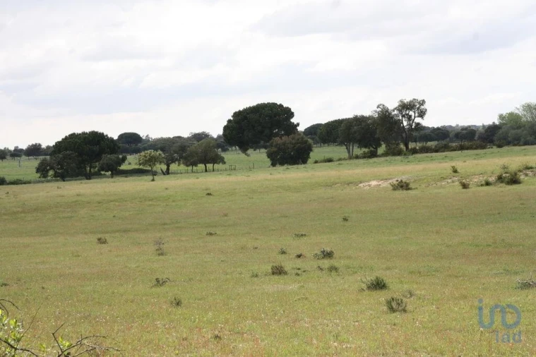Terreno para Venda em Poceirão e Marateca Foto 9