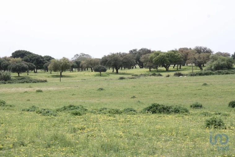 Terreno para Venda em Poceirão e Marateca Foto 12