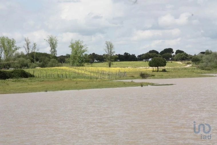 Terreno para Venda em Poceirão e Marateca Foto 6