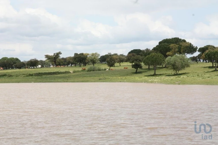Terreno para Venda em Poceirão e Marateca Foto 5