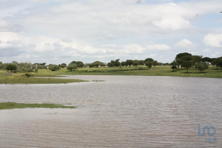 Terreno para Venda em Poceirão e Marateca Foto 4