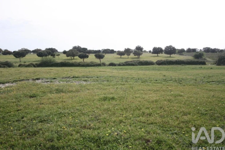Terreno para Venda em Poceirão e Marateca Foto 23
