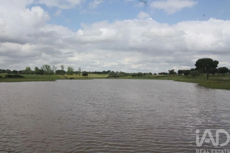 Terreno para Venda em Poceirão e Marateca Foto 28
