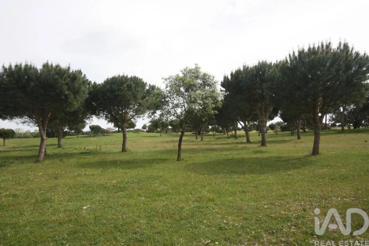 Terreno para Venda em Poceirão e Marateca Foto 22