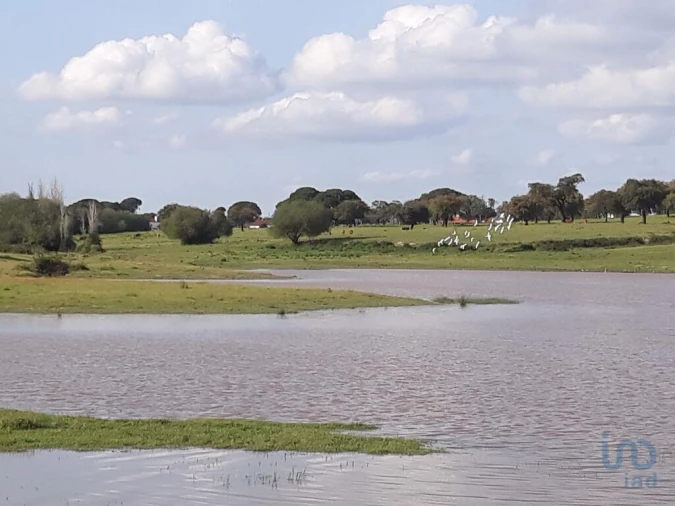 Terreno para Venda em Poceirão e Marateca Foto 3