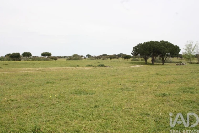 Terreno para Venda em Poceirão e Marateca Foto 20