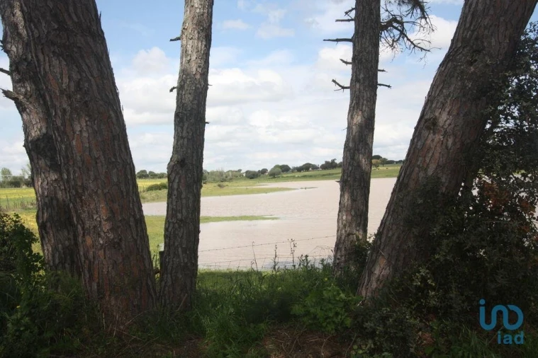 Terreno para Venda em Poceirão e Marateca Foto 2