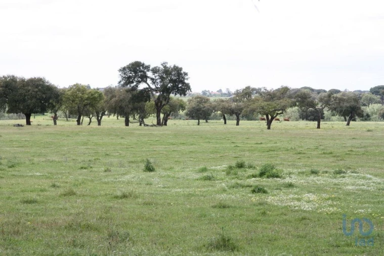 Terreno para Venda em Poceirão e Marateca Foto 13