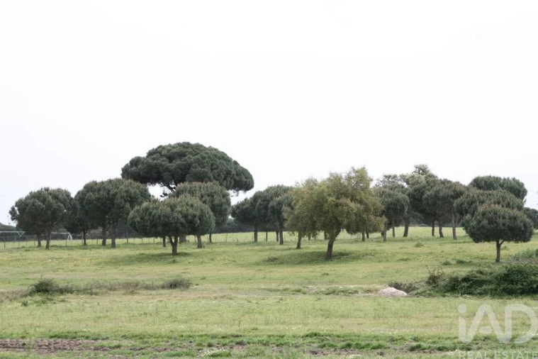 Terreno para Venda em Poceirão e Marateca Foto 21