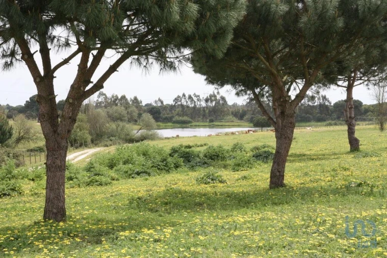 Terreno para Venda em Poceirão e Marateca Foto 14