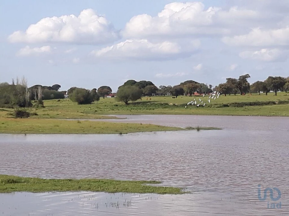 Terreno para Venda em Poceirão e Marateca Foto 3