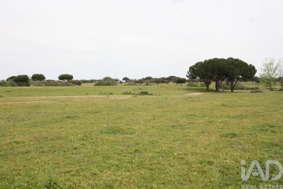Terreno para Venda em Poceirão e Marateca Foto 20